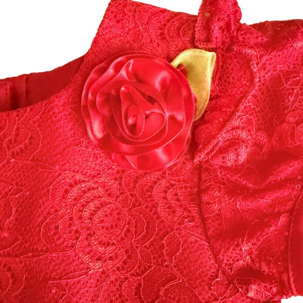 Wonder Nation Red Lace Dress Size 3T - Picture 5 of 8